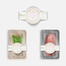 دانلود وکتور بسته بندی گوشت و سبزیجات با لیبل