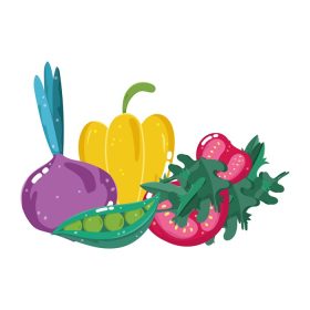دانلود وکتور غذا سبزیجات چغندر فلفلی تربچه و گوجه فرنگی منوی تازه تصویر وکتور مواد غذایی رژیمی