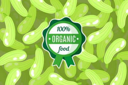دانلود وکتور وکتور پوستر یا بنر با تصویر زمینه کدو سبز و برچسب غذای ارگانیک سبز گرد