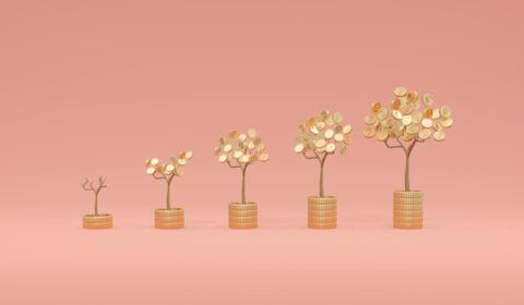 دانلود عکس رندر سه بعدی رشد درخت پول با برگ سکه