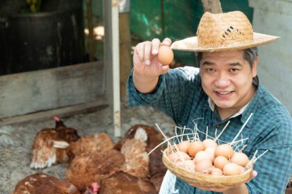 دانلود عکس کشاورزان آسیایی سبد تخم مرغ را با دست چپ خود نگه می دارند و