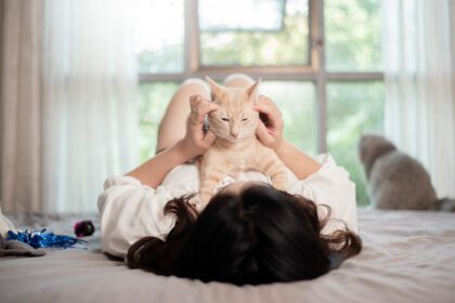 دانلود عکس زیبای زن گربه دوست آسیایی در حال بازی با گربه در او