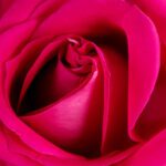 تصویر برداری وکتور نت آلات موسیقی کم پلی وایرفریم