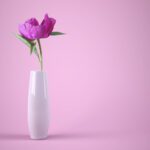دانلود پاهای سوار بر اسکیت