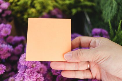دانلود عکس کاغذ یادداشت خالی در دست روی گل مارگارت بنفش زیبا