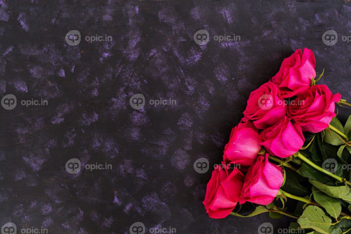 دانلود عکس دسته گل رز صورتی در نمای بالا پس زمینه تیره