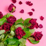 دانلود طرح کاغذ دیواری طلای مدرن انتزاعی نقاشی رنگ روغن درخت زمینه پس زمینه