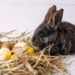 دانلود طرح کاغذ دیواری دیوار جواهرات عشق الماس