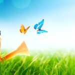 سبد خرید و پرداخت