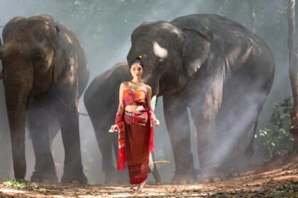 دانلود عکس فیل با دختر زیبا در حومه آسیایی تایلند