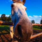 دانلود عکس مبارک روز کارگر مفهومی دست در دستکش کار ابزار نگه دارید برای