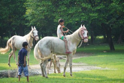 دانلود عکس عکس بچه های اسب سواری در پارک