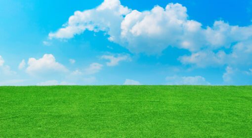 دانلود فیلد عکس در پس زمینه با آسمان آبی و ابر