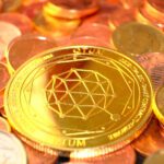 دانلود عکس دو بز خوردن