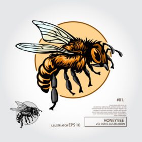 دانلود لوگو کارتونی زنبور عسل طراحی تصویرسازی تصویرسازی برای عسل