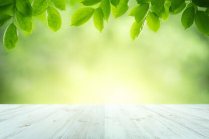 دانلود عکس طبیعت برگ سبز تازه با بوکه روی میز خالی چوبی