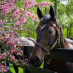 دانلود طرح تی شرت شعار تایپوگرافی عشق در اولین غوطه ور شدن با مرد