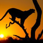 دانلود عکس آبشار زیبای ایسلندی هودافوس