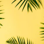 سبد خرید و پرداخت