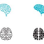 سبد خرید و پرداخت