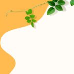 دانلود شعار تایپوگرافی دستی زیبا برای تی شرت
