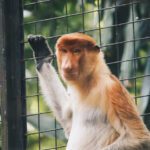 سبد خرید و پرداخت