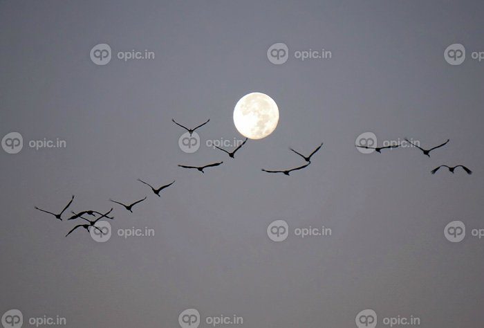 دانلود عکس پس زمینه hd آسمان شب استخدام