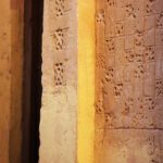 سبد خرید و پرداخت