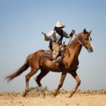 سبد خرید و پرداخت