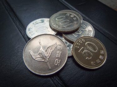 دانلود عکس سکه کره ای پول کره مفهوم کسب و کار
