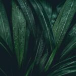 سبد خرید و پرداخت