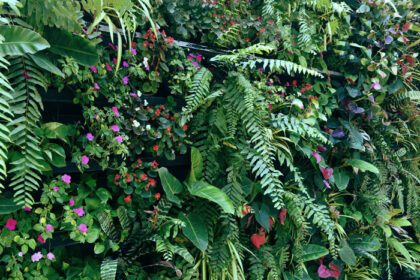 دانلود عکس دیوار گیاهی با رنگ سبز سرسبز تنوع جنگل گیاهی