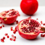دانلود آرم درخت جنگل منظره وکتور تصویر طراحی لوگو