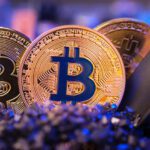 دانلود مجموعه وکتور تصاویر خار پرنعمت برای پروژه های گیاه شناسی انتشارات گیاهی پرآذین یا موضوعات خار در طرح های شما