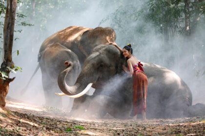 دانلود عکس فیل شبح روستایی تایلند در پس زمینه
