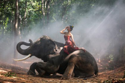 دانلود عکس فیل شبح روستایی تایلند در پس زمینه