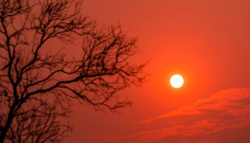 دانلود عکس خورشید کوچک گرد در آسمان غروب قرمز با پیش زمینه تاری
