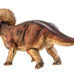 دانلود طرح کاغذ دیواری یشم حکاکی خانه و ماهی غنی با بوی دیوار پس زمینه