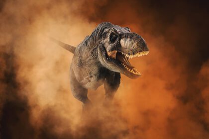دانلود عکس tyrannosaurus t rex دایناسور در پس زمینه دود