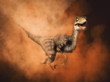 دانلود عکس دایناسور velociraptor در پس زمینه دود