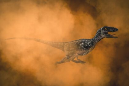 دانلود عکس دایناسور velociraptor در پس زمینه دود