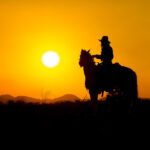 نت های موسیقی برداری و الگوی بدون درز رکوردهای وینیل قدیمی