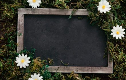 دانلود عکس تخته سیاه پس زمینه بهار با گل های دیزی روی چوب