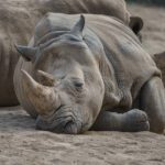 سبد خرید و پرداخت