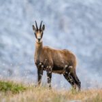 دانلود عکس سه بعدی انتزاعی پس زمینه آبی تیره بافت هندسی آبی