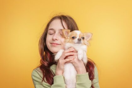 دانلود عکس دختر نوجوان با سگی از نژاد چیهواهوا روی رنگ زرد