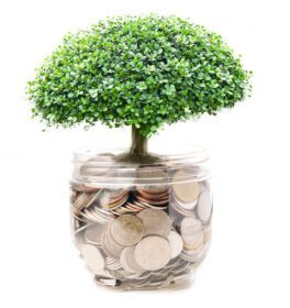 دانلود عکس درخت در پس انداز سکه مالی کسب و کار بانکداری