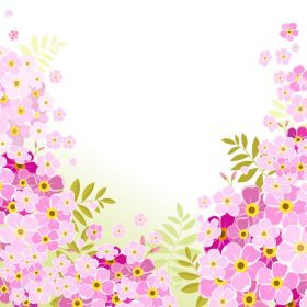 دانلود وکتور گل ادریسی زیبایی
