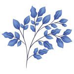 دانلود بشکه چوبی با شیر جدا شده در background_002 سفید