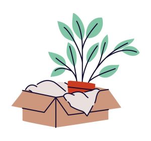 دانلود جعبه وکتور با گیاه